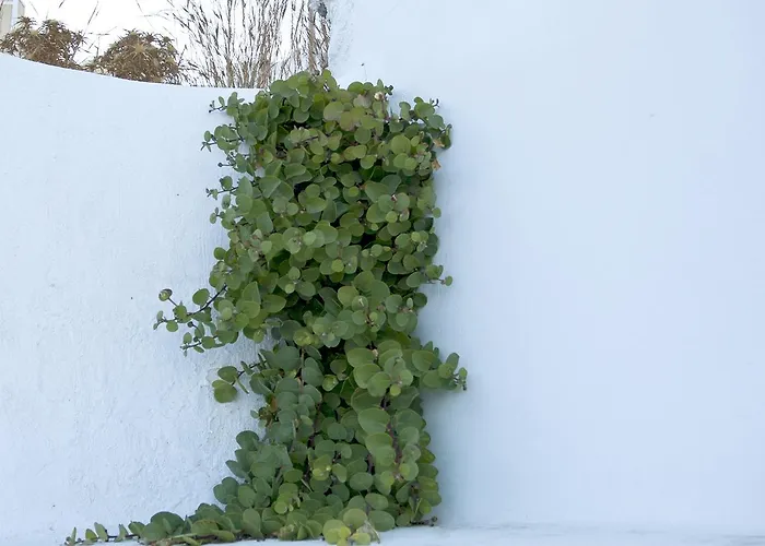 Semesterbostad Semeli Cave House Éxo Goniá