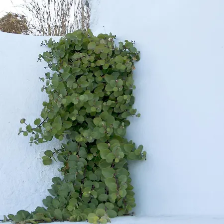 Nyaraló Semeli Cave House Éxo Goniá
